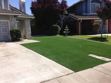 Artificial Grass Photos: Artificial Pet Grass Val Verde California Lawns